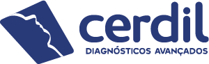 CERDIL logo